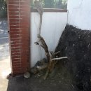 제주한란전시관 이미지