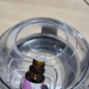 삼일크리닝 | 충주 매트리스 청소, 보관 이사 후 침대 토퍼 먼지 오염 얼룩 제거 칠금동 삼일아파트