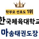 한국체대MVP태권도 이미지