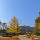 신반주유소 네이버블로그