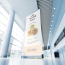 송송디자인 이미지