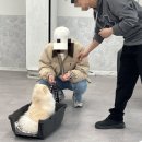 도담당 네이버블로그