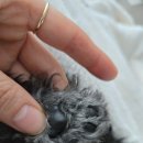 1004 | 베라스 방수 반려동물 이발기 VP-1004 내돈내산 후기 🐶