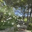 펜션무이 이미지