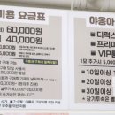 야옹아 놀자 이미지