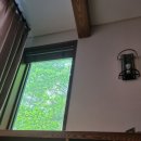 한봉제천 | 250630 제천 포레스트 리솜 포레스트 G50 빌라 클린 1박 ~스파도 안가고 조식도 안 먹은 후기~