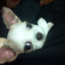 우리단비랑 이미지