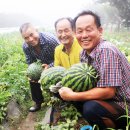 고암농장 이미지