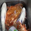 타이시즌 이미지