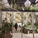 라온캣독 호텔 대구점 | 대구 칼라디움 웨딩 비올라홀 당일 계약 후기 27년식 (+강아지 화동, 리뉴얼 된 신부대기실)