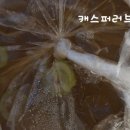 타이반쩜 신림점 팟타이, 꿍팟퐁 커리, 짜조 배달