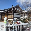 교동 연꽃마을 펜션 | 한옥마을 속 고요한 연꽃 한 송이, 무안한옥마을연꽃집에서 쉬다 왔어요