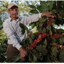 국선농장 이미지