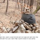 용천탕 | [안동] 와룡산(臥龍山,460m) 산행후기---2021년 3월 15일(월)