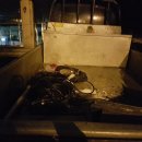 포항정보통신