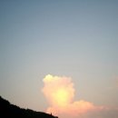 한채쭈꾸미 이미지