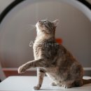 닥터김 동물의료센터 이미지