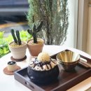 디피 | 팥빙수 칼로리 걱정된다면? 광주 항아리 빙수 맛집 디피 커피 후기