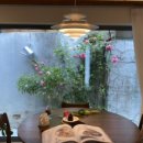 종로하루 이미지