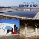 ㈜태평환경산업 | 신안 가볼 만한 곳: 신안 소금박물관 맘모스 포토존까지! 태평염전 여행기 총정리