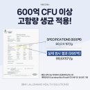 이n바이 이미지