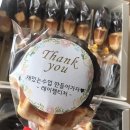 자매끼리초콜릿 네이버블로그