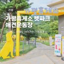태양주유소 | 가평휴게소 강아지 펫파크 애견운동장 놀이터