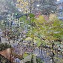 KN 국제행정사사무소 이미지