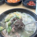 진짜순대집 | 목포 신창손 순대국밥 후기｜순대가 진짜 맛있는 집🍲
