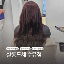 강북구장애인단체총연합회 | 수유미용실 새로 오픈한 깔끔 미용실 '살롱드채 수유점' 하오니코 클리닉 후기 (feat. 유리 디자이너)