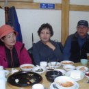 신성초교 이미지