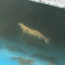 포장맛차수송점 이미지