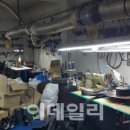 두레인력사무소 이데일리