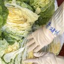 한스메디팜 이미지