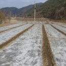 안동주택관리 이미지