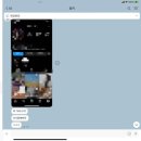 센트온경산점 | 2022.10.24~ 그래 아직 10월이지, 강경블랙파vs강경갈색파