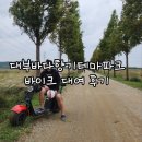 대부바다향기 테마파크 | (대부도여행) '대부바다향기테마파크' 전동바이크 대여 후기