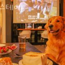 뚱새스테이 이미지