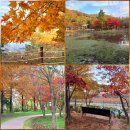 경안천 | 경기도 광주 여행 숨은 단풍 명소 경안천습지생태공원