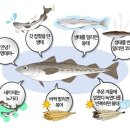 노가리&Beer 네이버블로그