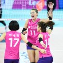 흥국생명 이미지