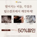 탑스칼프 강릉점