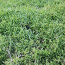 세동농장 이미지