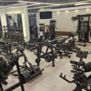 더모스트3 이미지