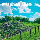 연천학곡리적석총 | 연천 학곡리 적석총 삼국시대 돌무지무덤 경기 북부 여행 가볼만한 곳