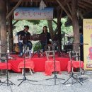 참나무쟁이 이미지