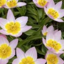 원종농장 이미지