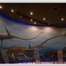 공룡박물관 이미지