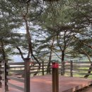 회동솔향캠핑장 이미지