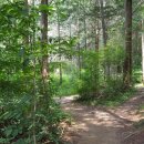 청도감꽃국민여가캠핑장 | 경북 청도군캠핑장(야영장) 위치 세번째여행